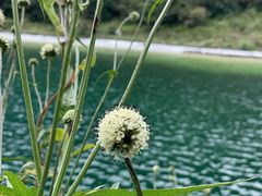-武陵山森林公园