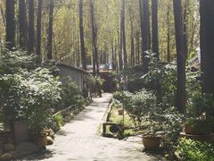 -林间山庄