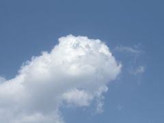 -霸王茶姬(上海恒基名人店)