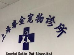 -睿金宠物医院·CT·肿瘤·骨外科
