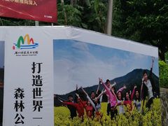 -广州市石门国家森林公园