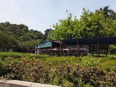 -李小龙乐园(顺德均安店)