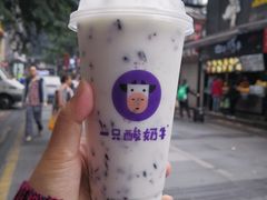 -一只酸奶牛(八一路店)