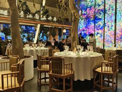 -桂满陇·海市蜃楼·黑金(国金店)