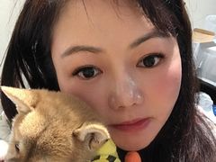 -逗柴咖啡屋·狗咖猫咖宠物桌游