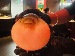 -肆月河豚·新淮扬菜·烤鸭(中关村店)