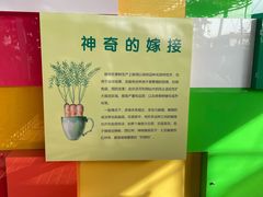 -光明小镇欢乐田园
