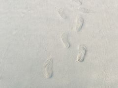 -西涌国际滨海旅游区