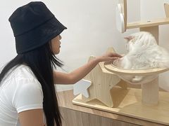 -瞄一喵猫咖(格力海岸店)