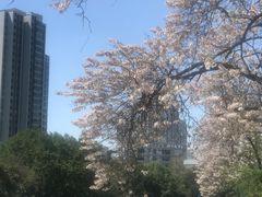 -红星桥(地铁站)