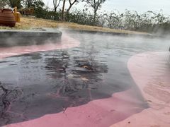 -东海森林温泉度假酒店