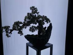 -滇铺子(欣都龙城店)