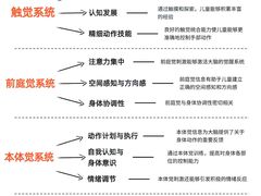 -东方启音·儿童康复中心·自闭症干预·语言迟缓·发育迟缓(深圳宝安中心)