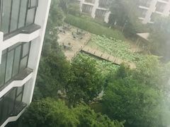 -苏州香山国际大酒店