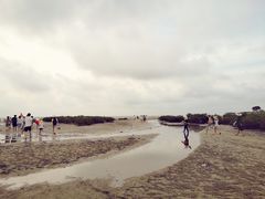 -红树林天天赶海