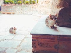 -梅黛奥拉修道院