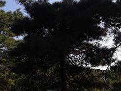 -棋盘山风景区