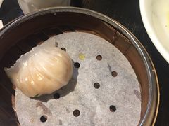 -糖朝(尖沙咀店)