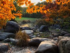 -上海共青森林公园