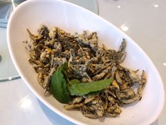 -解家河南菜(商鼎路店)