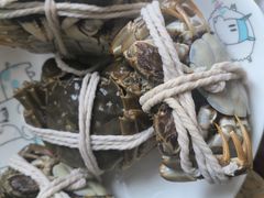 -阳澄湖大闸蟹·琼灵阁牌品牌连锁(吴中总店)