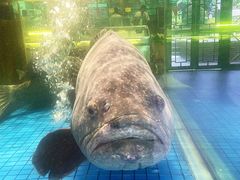 -聚福宝合苑食府(南头镇店)