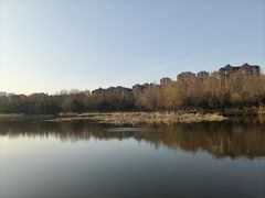 -前关湿地公园