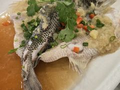 -东城食府·手工点心·37年老字号(虎门店)