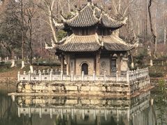 -习家池