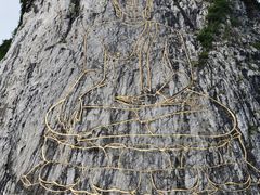 -七珍佛山