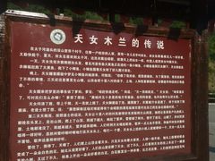 -天女山森林公园