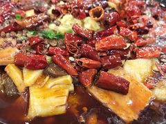 毛血旺-力力豆花庄(广渠门店)