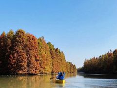 -上海海湾国家森林公园