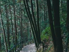 -龙湾潭国家森林公园