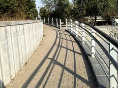 -大兴滨河森林公园