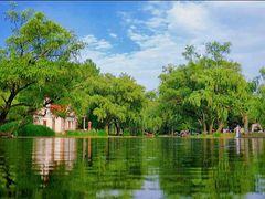 -上海共青森林公园