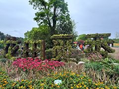 -铁山坪森林公园