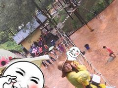 -梦幻奥陶纪景区