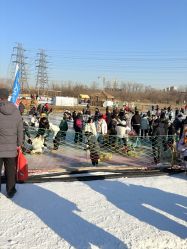 -268童话露营农场·烧烤·团建