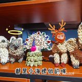 藏在第一市场里面的一家宝藏海鲜餐厅海岛鲜生