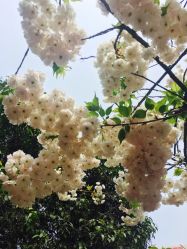 -Sasoo三和秀科技护肤抗衰中心