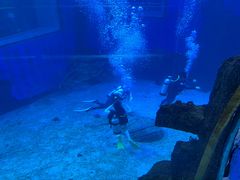 -太平洋海底世界