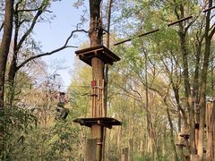 -WeLope紫金山探险公园