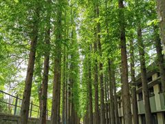-大连理工大学(凌水校区)