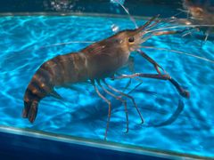 -学府海鲜批发市场