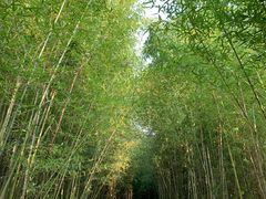 -金海湾滨江公园