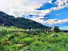 -白草畔自然风景区