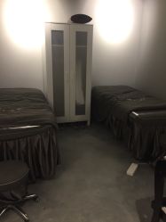 -三只熊皮肤管理中心