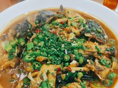 -全乐鱼馆·淳牌有机鱼直营店