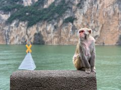 -白帝城·瞿塘峡景区